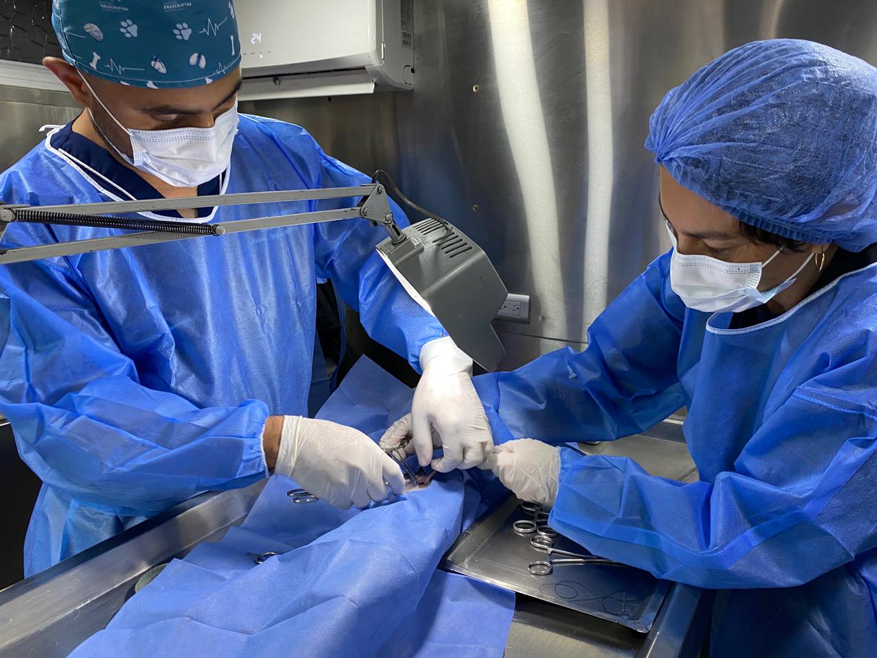 ESTERILIZACION 5